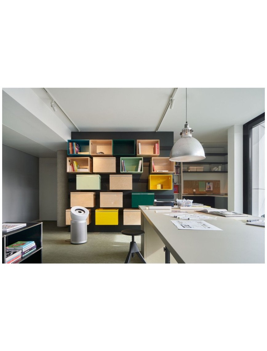 Dyson HEPA Big+Quiet Formaldehyde™ BP06 Hava Temizleyici (Beyaz/Parlak gümüş)